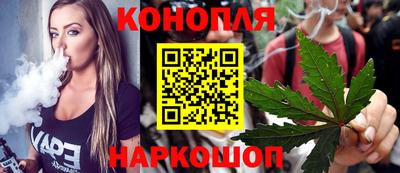 шишки Можайск