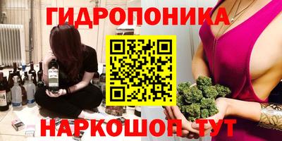 шишки Можайск